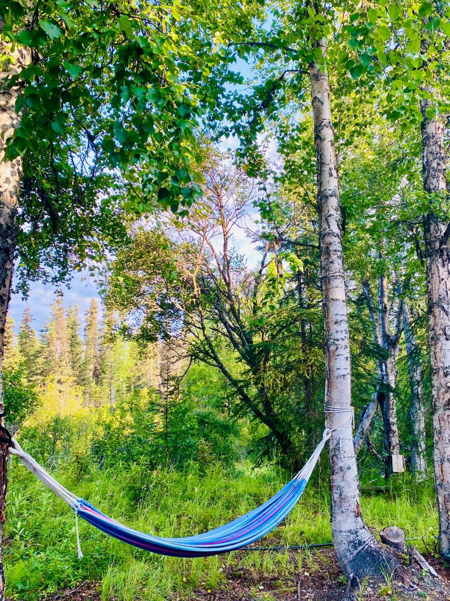 Вилла Charming Kenai Cabin Near Kenai River With Fenced Yard Экстерьер фото